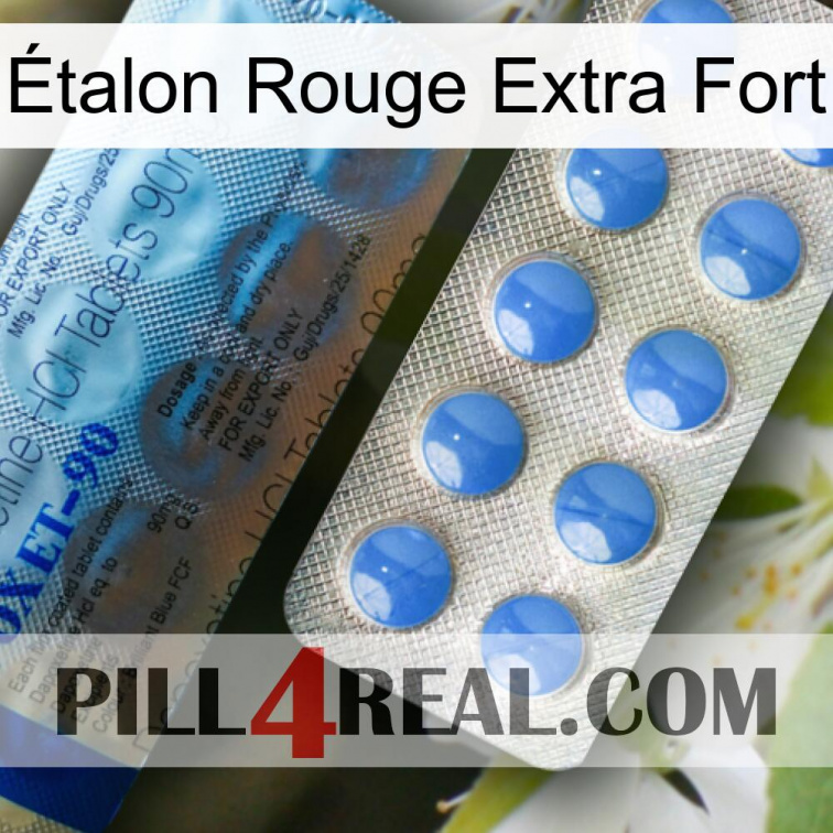 Étalon Rouge Extra Fort 40